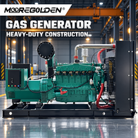 Automatisch Startender 40kW 50kVA Biogas-Generator für Landwirtschaft und Abfallenergie-Projekte