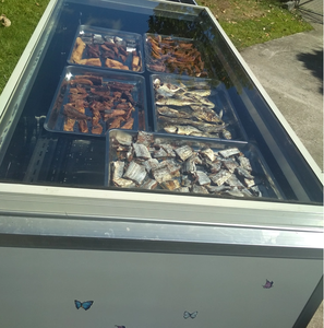 AMS-80 Practical and Affordable Stainless Steel Solar Dryer - Product Image 5