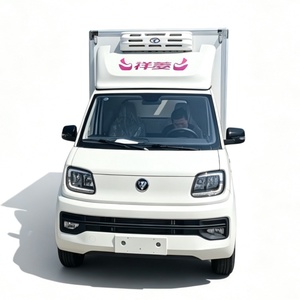 Camión Congelador Pequeño de -18 Grados, Furgoneta Refrigerada de 3 m³, <span class=keywords><strong>Euro</strong></span> 5, Automático, Nuevo Motor de Gasolina, Unidad de Refrigeración de Marca Superior para Hielo - Product Image 3