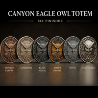 Pièce de monnaie commémorative 3D personnalisée en relief, motif Aigle Hibou Totem, finition antique, pièce de défi, cadeau souvenir, vente en gros, usine OEM ODM