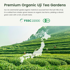 Matcha de qualité cérémonielle supérieure, authentique matcha japonais d'Uji, matcha premium de première récolte, pot de 30g - Product Image 6
