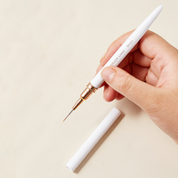 Ensemble de 5 pinceaux de nail art en plastique de style japonais pour l'airbrush, pour la peinture florale, le dessin et le pointillage, 8 couleurs, pour le marché international