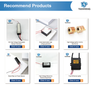 Đèn Muỗi Ngoài Trời 220V/Đèn Giết Chết Cuộn Dây Đánh Lửa Biến Áp Cao - Product Image 6