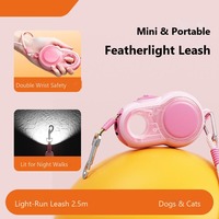 Laisse Rétractable Automatique MINI pour Chien avec Lumière LED pour Promenades Nocturnes, en Polyester et Caoutchouc Solide, Simple, pour Petits Chiens et Chats, Vente en Gros