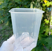 Nouveaux pots carrés transparents pour orchidées Dendrobium avec trous de drainage, bassin de contrôle des racines, en plastique écologique, pour la croissance, jardin intérieur et extérieur