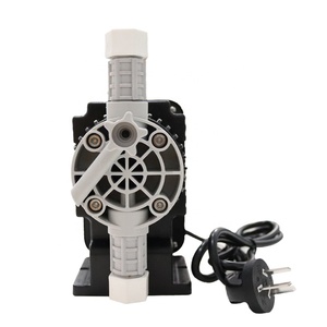 Minibomba Dosificadora de Cloro Ácido para Productos Químicos - Product Image 1