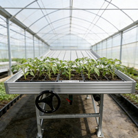 Table de culture hydroponique roulante en métal durable pour serre, système de culture par inondation pour plantes
