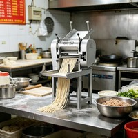 Machine à pâtes électrique automatique, machine à nouilles fraîches en acier inoxydable pour usage domestique, service sans souci