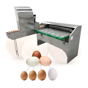 OCEAN Cheap Small Business Semi Auto Egg Weight Candle & Grade Machine Price of Egg Sort Machine