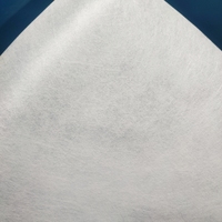 Couche de support non tissée bicomposante PET COPET Spunbond à haute efficacité d'interception, média de filtration de gaz avancé conçu F210B