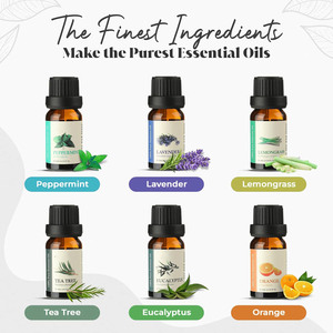 OEM giá rẻ giá Top 6 100% tinh khiết hương liệu khuếch tán tinh dầu thiết lập - Product Image 5