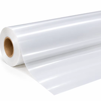 0.05mm* 600mm PTFE Film Rulosu Bakire Tek Taraflı Çift Taraflı İşlenmiş Yüksek Sıcaklık Yapışmaz Elektrik İzolasyon Filmi