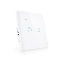 Vente en gros Accueil Tuya Lumière LED Tactile Verre Télécommande Électrique Interrupteur Intelligent Wifi Interrupteur Mural PST-TY-E2