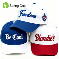 Casquette de baseball en coton à 5 panneaux, imperméable, respirante, bicolore, avec logo brodé 3D, pour la course et le sport, pour hommes, fabrication directe OEM