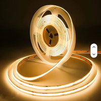 Bande LED COB FPC Flexible IP68 320 LED/m CRI 80+ Transparente Silicone Solide Étanche Blanc Chaud Contrôle Tactile USB