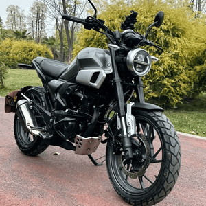 Motocicleta Xiangshuai de 300cc, Gran Cilindrada, Estilo Retro Cruiser <span class=keywords><strong>Chopper</strong></span> 300 Cangyun, Motocicleta de Segunda Mano - Product Image 2