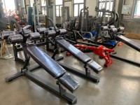 Banc de musculation réglable pour abdominaux et entraînement de la colonne vertébrale – Équipement de fitness professionnel