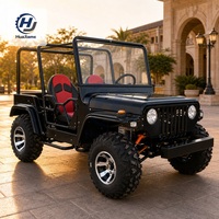 Véhicule tout-terrain monoplace 250 CC pour location en gros – Chariot robuste pour attractions touristiques et parcs d'attractions