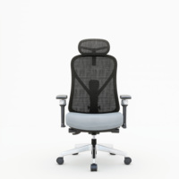 Chaise de bureau moderne en maille, approuvée BIFMA, ergonomique, pivotante, réglable en hauteur, avec accoudoirs et option appui-tête 3D, idéale pour la maison