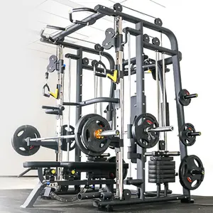Spor salonu plakası yüklü fitness ekipmanları ağırlık kaldırma gücü eğitim vücut geliştirme Smith makinesi