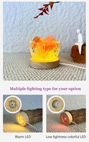 Base lumineuse LED ronde en bois, RVB à cycle automatique, en bois de caoutchouc, alimentation USB, pour support de présentation de sculptures en résine de chambre à coucher