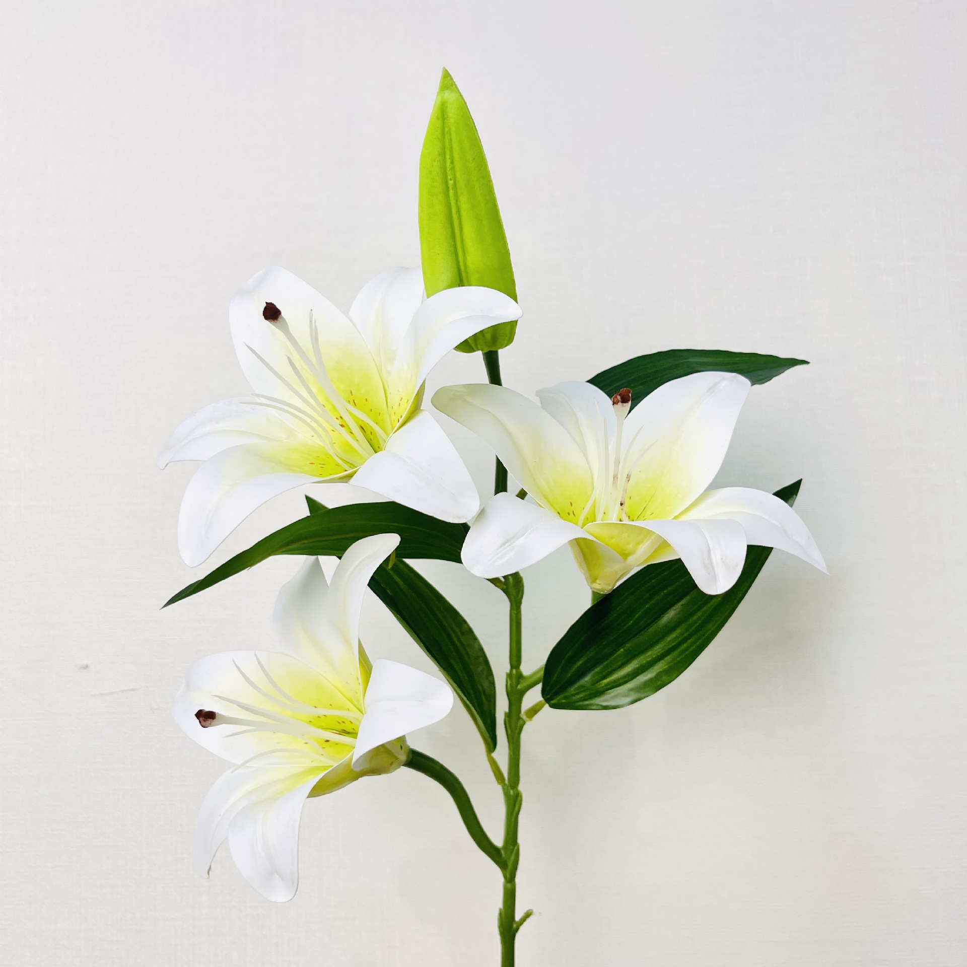 Large Branch Three Flowers a Pack of Lily