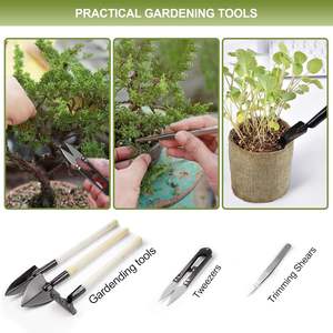 Kit de démarrage d'arbre bonsaï <span class=keywords><strong>japonais</strong></span> <span class=keywords><strong>petit</strong></span> <span class=keywords><strong>jardin</strong></span> intérieur écologique pour la maison ferme conception sol utilisation Pots outils de jardinière - Product Image 3