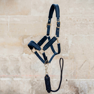 PORTACE ENTERPRISES Grande laisse pour cheval en nylon bleu avec rembourrage et quincaillerie argentée - Product Image 1
