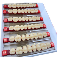 Dentier Dents postérieures Fausses dents dentaires Dents en résine acrylique à 2 couches