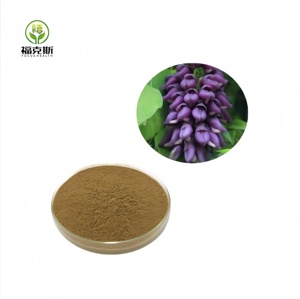 Nhà máy cung cấp chất lượng cao mucuna pruriens chiết xuất bột mucuna pruriens bột mucuna pruriens chiết xuất - Product Image 3