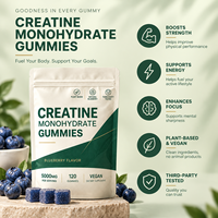 Gommes de créatine monohydrate pour hommes et femmes, croissance musculaire, sans sucre, 5000 mg, différentes saveurs, OEM HALAL