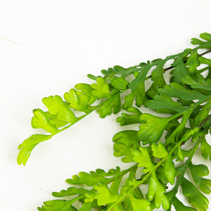 Tre forchette foglia di sedano erba artificiale <span class=keywords><strong>felce</strong></span> persiana appeso cesto di fiori decorazione <span class=keywords><strong>felce</strong></span>, erba artificiale - Product Image 2