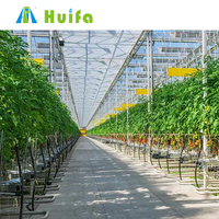 Cadre en métal Agriculture Serre Tunnel Serre Avec Système Hydroponique Pour La Culture De Tomates