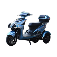 Vente chaude 1000W Tricycle électrique 60V/72V longue durée de vie de la batterie fonction antidérapante pratique combat facilement les pentes de 45 degrés Ebike