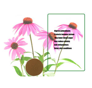 Groothandel <span class=keywords><strong>Pure</strong></span> Organische <span class=keywords><strong>Echinacea</strong></span> Polyfenolen Poeder 4% <span class=keywords><strong>Echinacea</strong></span> Cichorzuur 4%-6% <span class=keywords><strong>Extract</strong></span> Poeder - Product Image 3