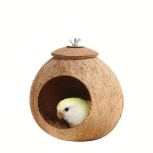 Nid d'oiseau en coquille de noix de coco, nid de perroquet, transfrontalier, Shandong, rond - Product Image 2
