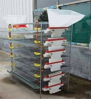 Cages et équipements d'élevage en couches pour animaux : Cage d'élevage de type A pour cailles