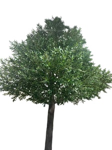 <span class=keywords><strong>Albero</strong></span> di Noce Nero Artificiale, Pianta Decorativa Realistica per Interni ed Esterni - Product Image 2
