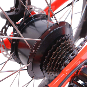 Vélo <span class=keywords><strong>cargo</strong></span> électrique 20 pouces pour adultes, homologué EEC/COC, vente en gros usine pour la livraison - Product Image 6