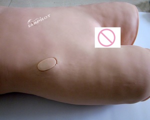 Maniquí de entrenamiento de paracentesis, simulador de Anatomía de punción de médula ósea, modelo de enseñanza de paciente de Torso médico - Product Image 3