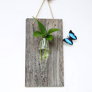 Pot de fleurs mural en <span class=keywords><strong>bois</strong></span> + bac à glace, conteneur <span class=keywords><strong>pour</strong></span> plantes aquatiques, vase en verre décoratif à suspendre au mur - Product Image 3