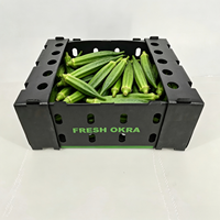 Caisse de transport pliable ventilée en plastique ondulé pour okra, antichoc, en panneau alvéolaire PP, pour légumes frais, vente en gros