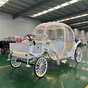 Nouvelle Conception d'Usine - Carrosse Citrouille de Style Européen en Acier Q235B, Modèle Électrique Surdimensionné Sur Mesure pour 10-12 Personnes - Product Image 6