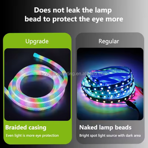 Vendita calda RGBIC flessibile in silicone <span class=keywords><strong>sogno</strong></span> colore striscia di luce di 360 gradi circolare maglia Neon LED WS2812B per soggiorno DC5V - Product Image 2