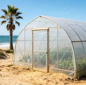 Serre tunnel agricole double couche grande taille à <span class=keywords><strong>prix</strong></span> usine, serre commerciale en polytunnel pour l'agriculture - Product Image 4