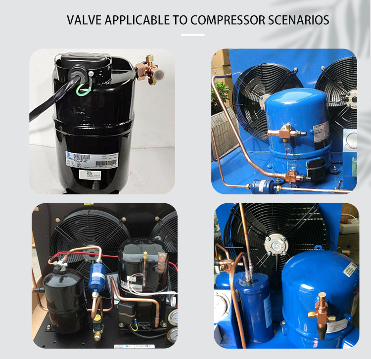 Valve Comressor R12 Upgrade Efficiency with Advanced r12 and r134a compressor compressors ...