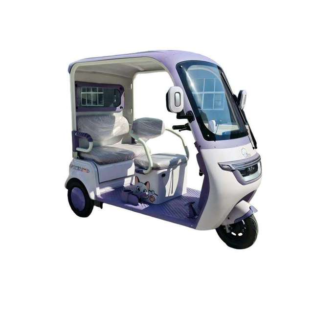 Beautiful Leisure 48V 3-Wheel Electric Tricycle 2 Seater Trike with Open Roof for Elderly and Adult Family Use