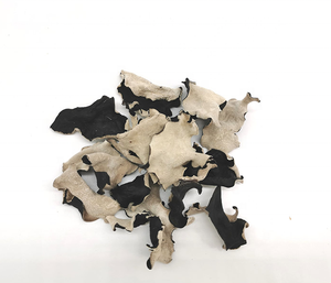 <span class=keywords><strong>Hongo</strong></span> negro secado <span class=keywords><strong>en</strong></span> <span class=keywords><strong>orejas</strong></span> de madera de nivel superior <span class=keywords><strong>Hongo</strong></span> seco <span class=keywords><strong>en</strong></span> la espalda <span class=keywords><strong>Hongo</strong></span> negro - Product Image 1