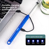 Briquet plasma rechargeable USB JL902 moderne à rotation 360 degrés avec construction métallique pour cuisine, barbecue et usage extérieur