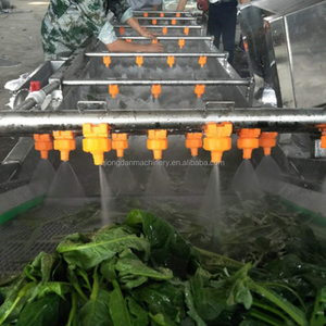 Máquina Automática para Lavar Chiles, Calabazas, Espinacas, Uvas, Frutas, Mangos, Guayabas y Ajos con Burbujas de Aire - Product Image 2